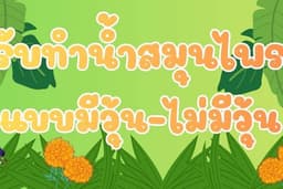 รับทำน้ำสมุนไพร