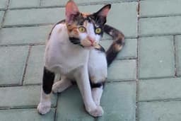 รับพาคนสูงอายุหรือต้องการคนไปหาหมอเป็นเพื่อน