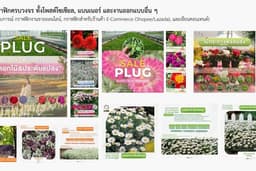 รับทำกราฟิก และ เทมเพลท โพสต์โซเชียล, แบนเนอร์ และงานออกแบบอื่น ๆ ตามสั่ง พร้อมงานคุณภาพ ส่งตรงเวลา