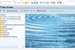ออกแบบพัฒนาระบบอัตโนมัติ สำหรับ SAP GUI ด้วย Script (VBA,Python)