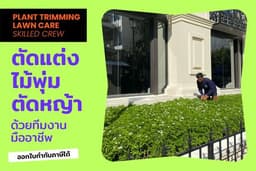 ตัดต้นไม้ ตัดไม้พุ่ม ตัดหญ้า ดูแลสวนรายเดือน