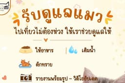 รับดูแลแมว