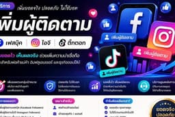 เพิ่มผู้ติดตาม เฟส ไอจี ติกตอก