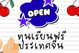ที่ปรึกษาทุนเรียนภาษาจีน