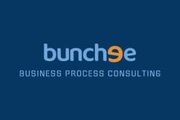 Business process consulting