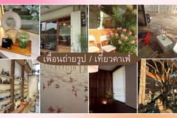เพื่อนเที่ยว/คาเฟ่/ถ่ายรูป