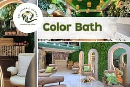 Color Bath The Organic Beyond Hair Salon สุทธิสาร