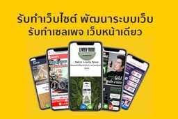 รับทำเว็บไซต์ เซลเพจ Landing page ทำเว็บตามแบบ Wordpress รับดูแลเว็บ
