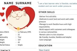 เรซูเม่สมัครงานและสมัครแอร์ทุกสาย