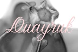 Gift curator บริการจัดหาของขวัญเพื่อคนที่คุณรัก