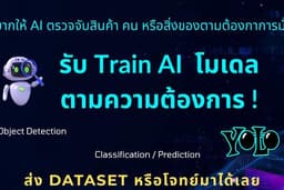 รับ train AI ตามความต้องการ YOLO, CNN, ML