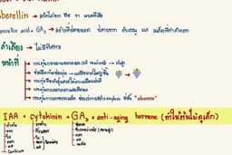 English