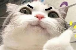 เจอทางออกมั้ย? ลองพักใจที่นี่ก่อน
