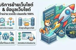 ย้ายข้อมูลเว็บ WordPress ย้ายข้อมูลไปโดเมนใหม่ Backup ข้อมูล ปริมาณสูง 🚀WordPress🟢