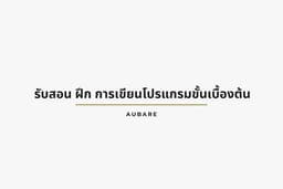 สอนการเขียนโปรแกรมเบื้องต้น ตามความต้องการของผู้เรียน