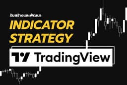 รับสร้าง Indicator และ Strategy สำหรับใช้บน TradingView ด้วย Pine Script