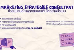 Marketing Consultant