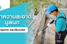 ทำความสะอาดมูลนก - กรุงเทพฯ ปริมณฑล