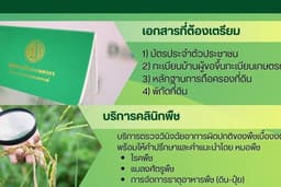 งานประชาสัมพันธ์โปสเตอร์ ตามสั่ง