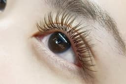 ต่อขนตาสายฝอ Wet mascara