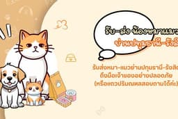รับ-ส่งน้องหมา น้องแมว ย่านรังสิต-ปทุมธานี