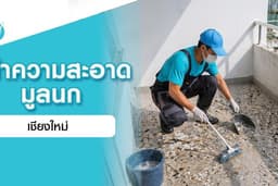 ทำความสะอาดมูลนก - เชียงใหม่