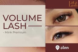 ต่อขนตา Volume Lash- อโศก LALALASH