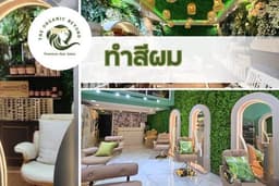 ทำสีผม The Organic Beyond Hair Salon สุทธิสาร