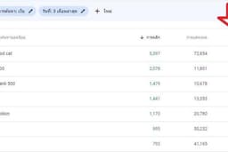 บริการเพิ่มทราฟฟิค เพิ่มคนเข้าเว็บไซต์ (Website Traffic) เสริมการทำ SEO