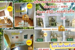รับฝากน้องหมา-แมว รายวัน รายเดือน รายปี แยกห้องเป็นสัดส่วน บริการประทับใจ