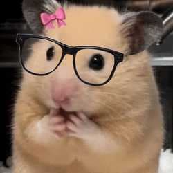 karimoki