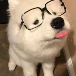 Fay