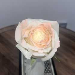 rujira