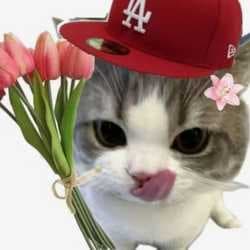 hanny