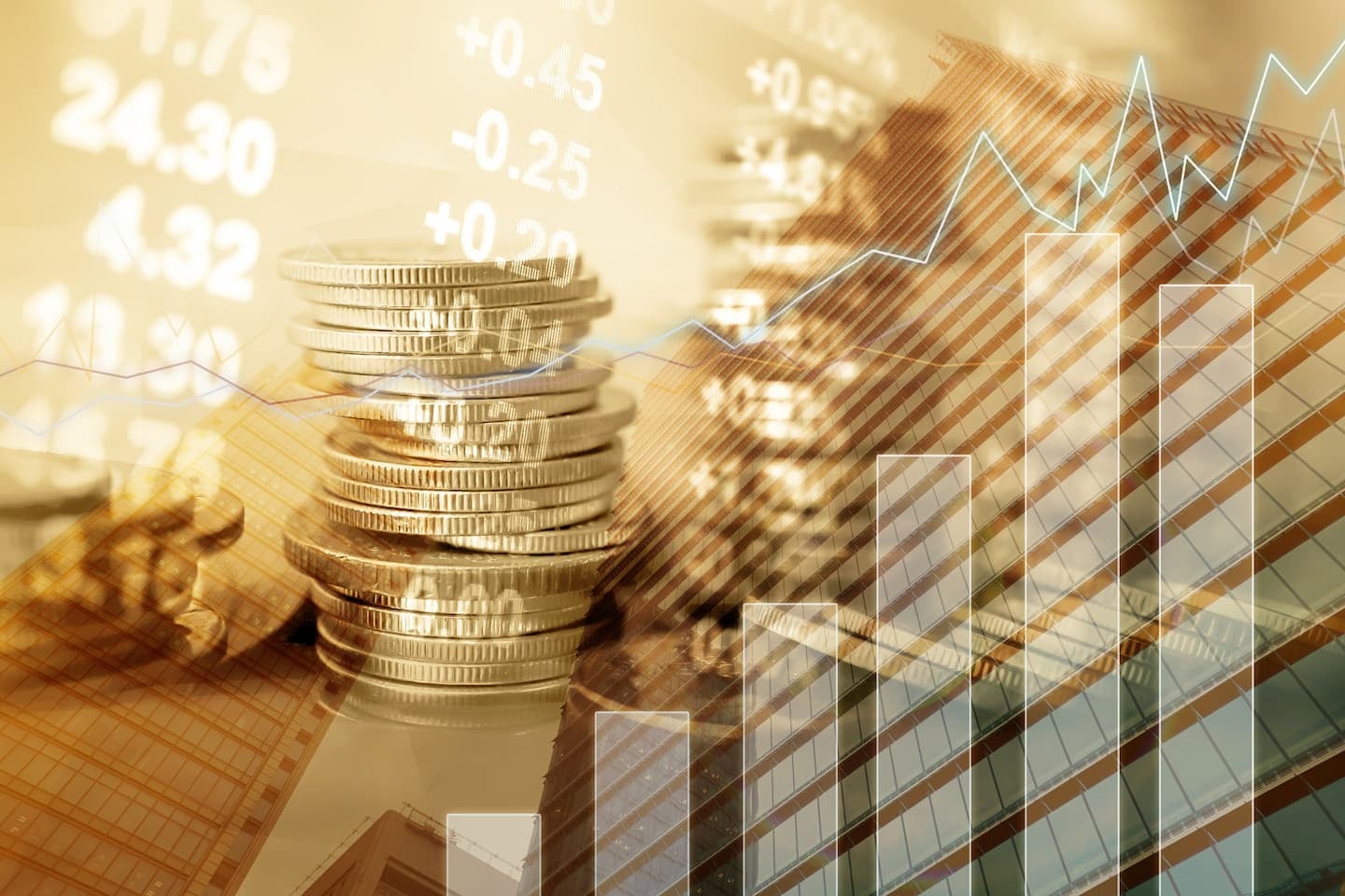 สอนการลงทุน