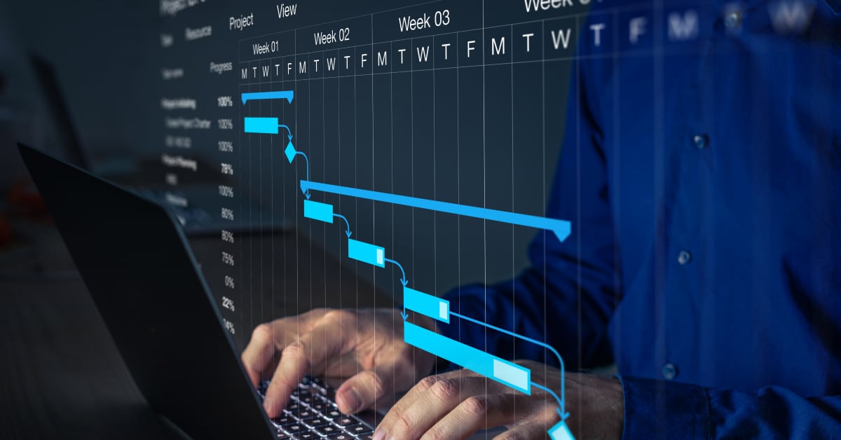 IT Project Management