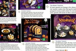 Company profile / Press release / Copywriting / social caption / About Us page