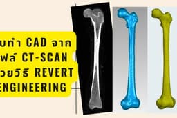 รับทำ CAD จากไฟล์ CT-scan ด้วยวิธี Revert Engineering