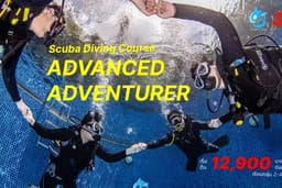 คอร์สเรียนดำน้ำลึก หลักสูตร ADVANCED ADVENTURER (SSI) ออกสอบทะเล แสมสาร/พัทยา ชลบุรี