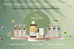 ออกแบบสื่อโฆษณา Banner Facebook และ Social media online