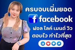 ปั้มผู้ติดตามเฟส ปั้มไลค์เพจ ปั้มไลค์ facebook งานไว คนไทยแท้