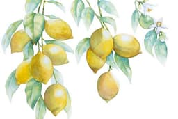 วาดภาพประกอบสีน้ำ watercolor สีอะคลีลิค สีโปสเตอร์ ภาพลายเส้น ตามแบบที่ต้องการ
