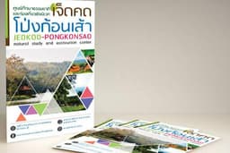 ออกแบบโบรชัวร์ แผ่นพับ ราคากันเอง