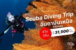 ทริป Scuba Diving อันดามันเหนือ ประเทศไทย 4วัน 3คืน / 11 Dives (เรือ MV.Krishna 2)